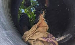 މަހްމޫދު މަރާލި މީހުންނަށް ހަރުކަށި އަދަބު ދިނުމަށް ނާޒިމް ގޮވާލައްވައިފި