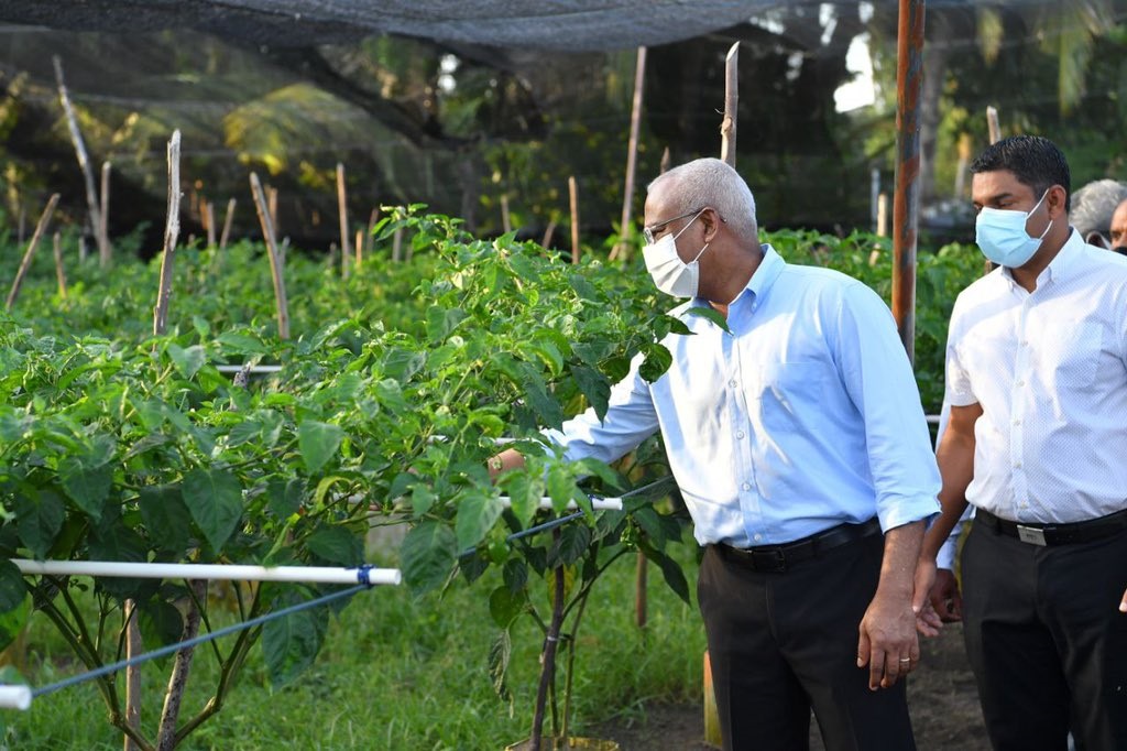 ދަނޑުވެރިކަން ކުރަން އިތުރު ފަސް ރަށް ދޫކުރަނީ