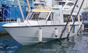 ހައި ސްޕީޑު ފެރީގެ ޓެސްޓު ދަތުރުތައް ފަށައިފި