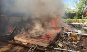 ތިލަފުށީގައި ހުންނަ "ޓިމްބަރ ހައުސް" ގުދަނުގައި އަލިފާން ރޯވެއްޖެ