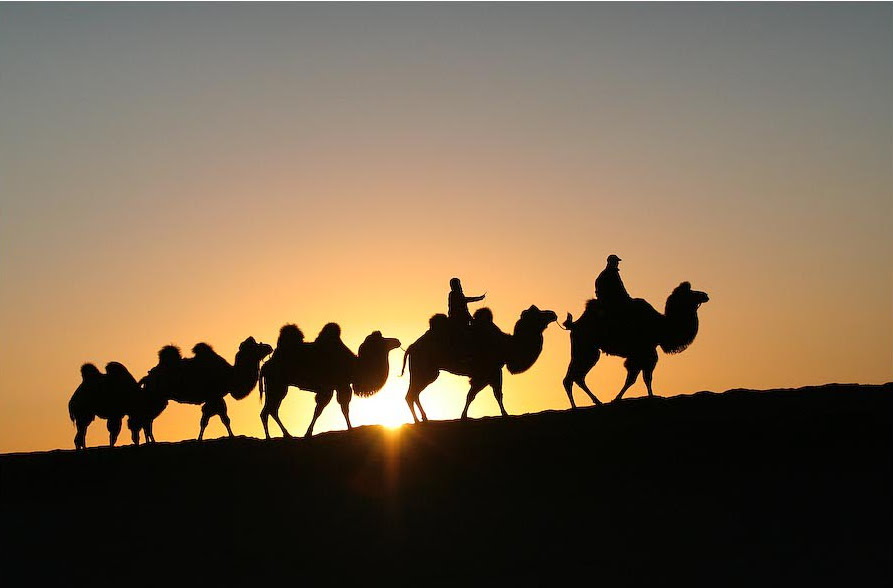 ދަތުރު ވެރިޔާއަކީ ކޮބާ؟ ނަމާދު ގަޞްރުކުރުމާއި ޖަމްޢުކުރުން ހުއްދައީ ކޮން ޙާލަތު ތަކެއްގައި؟