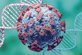 އިންޑިއާއިން އޮމިކްރޮންގެ ދެ ކޭސްއެއް ފުރަތަމަ ފަހަރަށް ފެނިއްޖެ