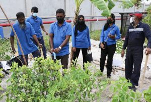 "ރަށް ފެހި" ޕްރޮގްރާމުގެ ދަށުން މިއަހަރު 6000 ގަސް އިންދުމަކީ އަމާޒެއް: ސްޓެލްކޯ