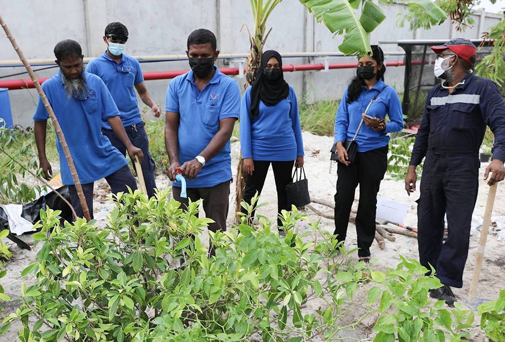 "ރަށް ފެހި" ޕްރޮގްރާމުގެ ދަށުން މިއަހަރު 6000 ގަސް އިންދުމަކީ އަމާޒެއް: ސްޓެލްކޯ