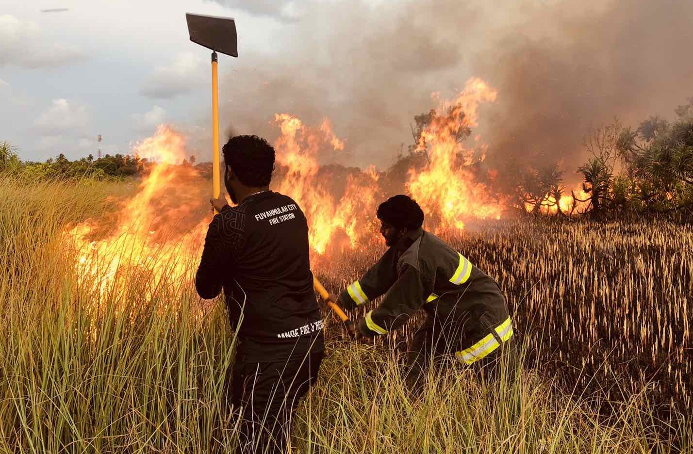 ވީދަނޑުގައި ރޯވި އަލިފާން ނިއްވާލައިފި