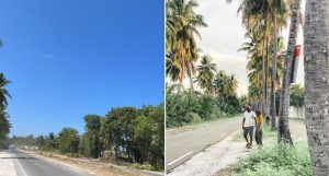 އައްޑޫ ލިންކު ރޯޑުގައިހުރި ރުށްތައް ކަނޑާލައިފި، އެތައް ބައެއްގެ ފާޑުކިޔުން ކައުންސިލަށް!