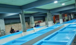 މަސްމާރުކޭޓުގެ މަރާމާތުގެ މަސައްކަތް ނިމުމަކާއި ގާތަށް