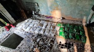 ގެއެއްގެ ތެރޭ ވަޅުލާފައިހުރި 42 ކިލޯ މަސްތުވާތަކެތި އަތުލައިގަނެފި