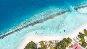 ތުލުސްދޫގައި ފަތުރުވެފިޔަކު ގެނބިގެން މަރުވެއްޖެ