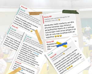 ޑިމޮކްރަޓިކް އުސޫލުން ކެމްޕޭން ކުރަން ދަންނަ އެއްވެސް ޕާޓީއެއް ނެތް! އޮތީ އެއް ސަގާފަތެއް!