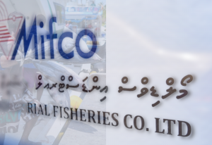 މަސްވެރިންގެ އުދާސްތައް އިންތިހާގައި! ކުންފުނިތަކުގެ މިސްރާބު އަލުން މީޒާން ކުރަންޖޭ!