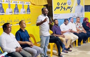 އެމްޑީޕީ ނަފްރަތުގެ ރަމްޒަކަށް ހަދަން މަސައްކަތް ކުރާތީ ކަންބޮޑުވޭ: ފަޔާ