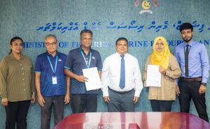 ކަނޑުއޮތްގިރި ބަނދަރު މަސައްކަތް އެމްޓީސީސީއަށް