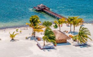 ބީއެމްއެލް ކޮމިއުނިޓީ ފަންޑުގެ ދަށުން ކާށިދޫގައި ބާބަކިއު ސަރަހައްދެއް