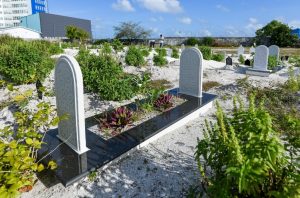 މަހާނަތައް ޒީނަތްތެރިކުރުން ހުއްޓުވަން އިސްލާމިކް މިނިސްޓްރީން އަންގައިފި