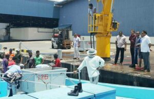 މިފްކޯއިން ވިއްކާ ޑީސެލްގެ އަގުވެސް ބޮޑުކޮށްފި