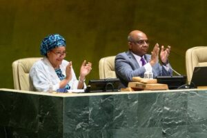 ޑިޕްލޮމަސީ ދާއިރާގެ އަންހެނުންގެ ދުވަހެއް ފާހަގަކުރުމަށް ރާއްޖެއިން ހުށައަޅައި އދ.އިން ފާސްކޮށްފި