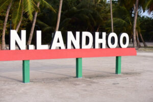 ލަންދޫގައި ރުކަކުން ޖެހި މީހަކު މަރުވެއްޖެ