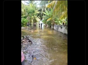 ރަތަފަންދޫއަށް އުދައަރައި ރަށުގެ ބޮޑުބައެއް ފެނުއަޑީގައި!