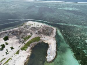 މާފުށީ ކުނިކޮށި ފުރަތަމަ ފަހަރަށް އެއްކޮށް ހުސްކޮށްފި