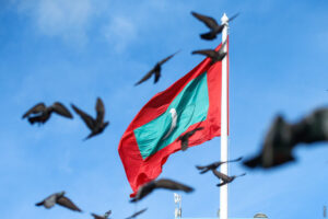 ރާނީ އަވަހާރަވުމުގެ ހިތާމައިގައި ދިވެހި ދިދަ ބައި ދަނޑިއަށް