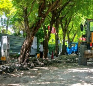 އަމީނީ މަގުން ގަސް ކަނޑާތީ ނަޝީދުގެ ފަރާތުން ކޯޓަށް ހުށަހެޅި މައްސަލަ އަނބުރާ ނަގައިފި
