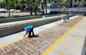 ހުރަވީ ބިލްޑިންގް ބިމުގައި ހަދާ ޕާކުގައި 226 ސައިކަލުގެ ޕާކިން ޒޯނެއް