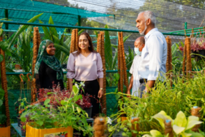 ގަސް ވިއްކުމުގެ މަސައްކަތް ކުރަމުންދަނީ ޤާނޫނީ އިމުގެ ތެރެއިން: މޭޔަރު