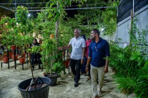 ސިޓީ ކައުންސިލްގެ ގަސް ފިހާރަ ބަންދުކުރާނެކަމުގެ އިންޒާރު