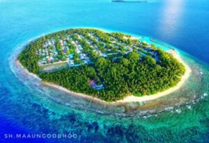 މާއުނގޫދޫ މީހެއްގެ ބަނޑަށް ވަޅި ހަރައިފި