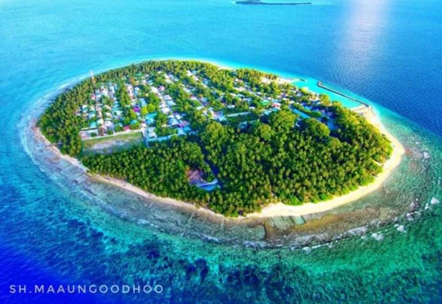 މާއުނގޫދޫ މީހެއްގެ ބަނޑަށް ވަޅި ހަރައިފި