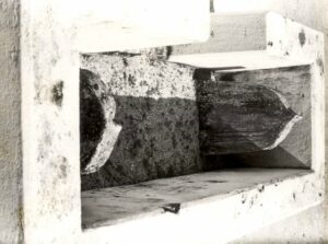 ދަންޑަހެލު މަހާނަ ގެއްލުނު މައްސަލާގައި ފިޔަވަޅު އެޅޭނެގޮތެއް ނެތް: ޔުމްނާ