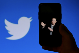 ވެރިފައި ނުކޮށް ނޫބެޖް ވިއްކަން ފެށުމާއެކު، ޓްރަމްޕް، ބުޝް، ޓެލްސާގެ ނަމުގައި ފޭކް ޓުވިޓަރ އެކައުންޓު ހަދައިފި