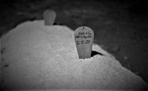 ނިޝާމާގެ ހަށިގަނޑު ވަޅުލައިފި