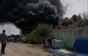 އަލިފުށި ކުނި ގޮނޑުގައި ހުރި ފައިބަރުތަކެއްގައި ރޯވެ އަނދަނީ