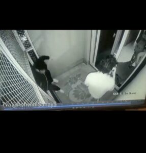 އިންޑިއާގެ ހޮސްޓެލްއެއްގެ 6ވަނަ ފަންގިފިލާއިން ވެއްޓި، ކިޔަވާކުއްޖަކު މަރުވި ހާދިސާއިން ގިނަބަޔަކަށް ސިހުން