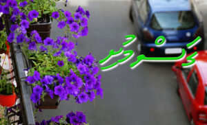 ކުރު ވާހަކަ: ގަސްމުށި