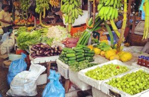 ބާޒާރުގައި މޭވާ އާއި ތަރުކާރީގެ ބާވަތްތަކުގެ އަގު ހެޔޮކުރުމަށް އެސްޓީއޯއިން މޭވާ އާއި ތަރުކާރީ ވިއްކަން ފަށައިފި