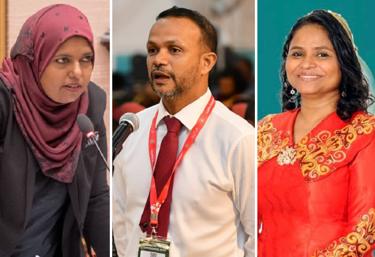 12 މެމްބަރުންނާއި، ވެރިކަން ހޯދައިދިން މީހުން ތިބިތަނެއް ބަލާލުން ރަނގަޅު: އަލީ ހުސެއިން