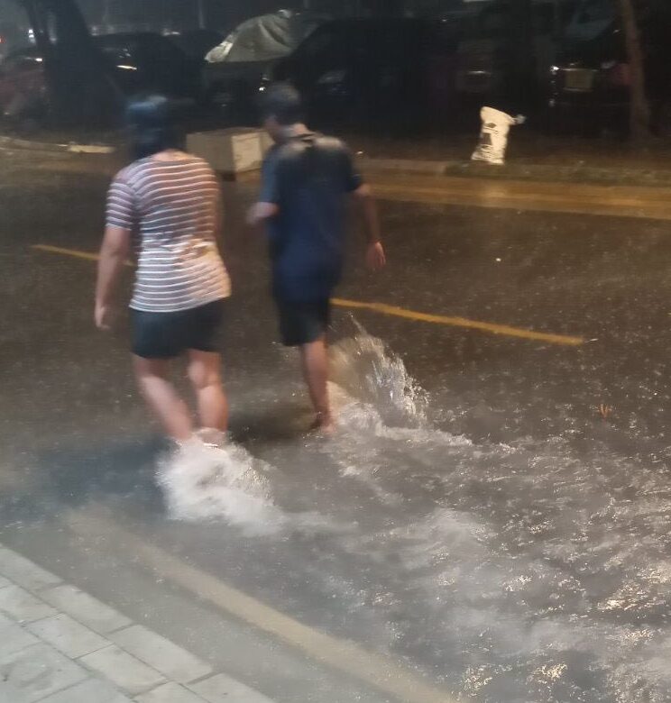 އަމީނީ މަގުގެ ތާރަ އެޅި ބައިގައި ފެންބޮޑު ވުމާއި ގުޅިގެން އާރުޑީސީއަށް ފާޑުކިޔުން އަމާޒުވެއް