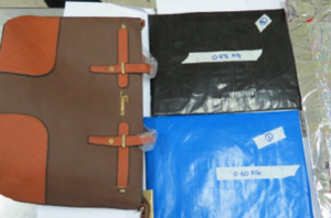 ޕާކިސްތާނާއި، އިތޯޕިއާއިން ޑްރަގު އެތެރެކުރި ދެމީހުން ބަންދަށް 15 ދުވަސް