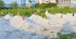 އާސަހަރާ މަރާމާތުކުރަން އާ ކުންފުންޏަކާ ހަވާލުކޮށްފި