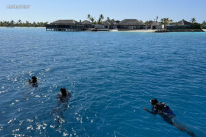 ސްނޯކެލިންއަށް ދިޔަ ފަތުރުވެރިޔަކު ގެއްލިގެން ހޯދަން ފަށައިފި