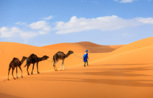 ދަތުރުވެރިޔާގެ ރޯދަ!