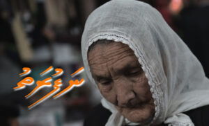 ކުރު ވާހަކަ: ނަފުރަތު