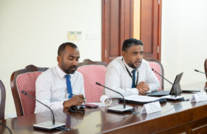 ވެމްކޯއިން ޑަސްބިން ކޮތަޅު ވިއްކަން ފަށަނީ