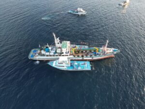 މިފްކޯއިން އަލަށް ގެނައި ބޯޓުން މަސްކިރަން ފަށައިފި