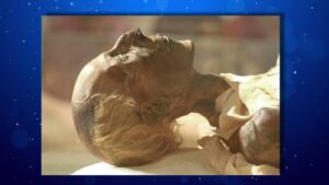 މޫސާގެފާނުގެ މުޢުޖިޒާތް