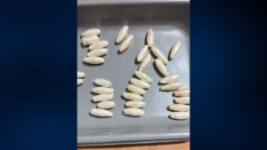 ޑްރަގާއެކު އިންޑިއާގެ ކޮޗިންއިން ދިވެއްސަކު ހައްޔަރު ކޮށްފި