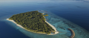 ކަނޑަށް ފައްތާފައި ހުރި މަސްތުވާތަކެތި އަތުލައިގެންފި